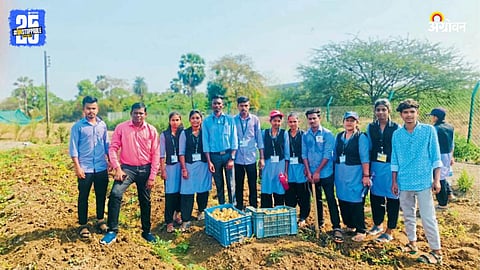 Potato Farming