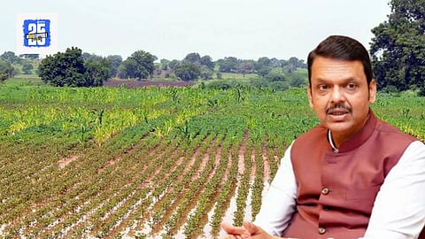 Crop Compensative
