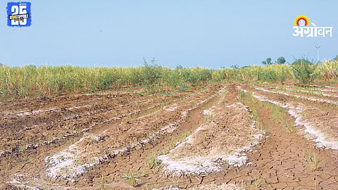 Soil Management
