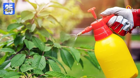 Soluble Fertilzer Use