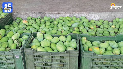 Mango Market