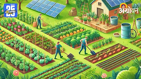 Sustainable Agriculture