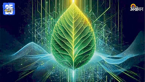 Photosynthesis