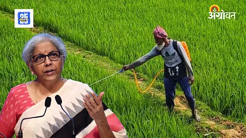 FM Sitaraman