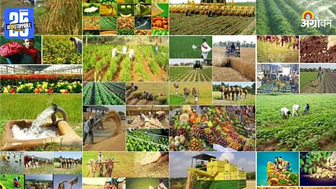 Agriculture