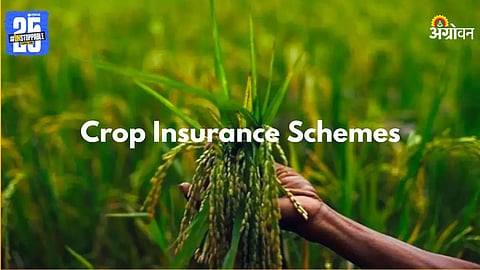 Crop Insurance Scheme