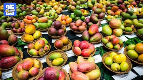 Mango Festival