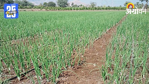 Soil Fertility