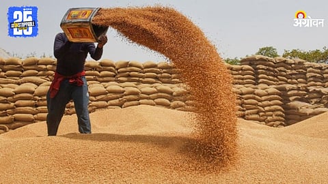 Wheat Market