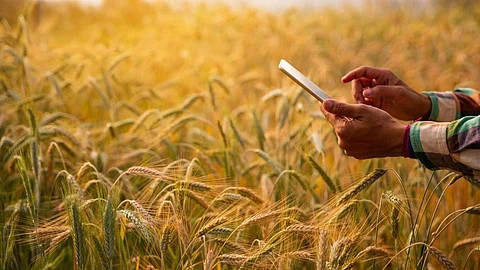 Digital Crop Survey