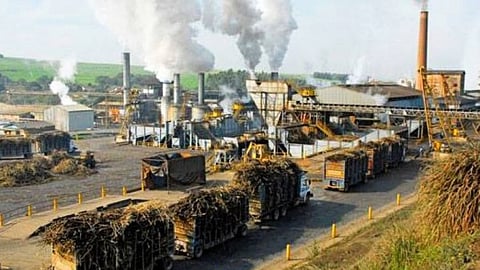 Sugar Prodcution India