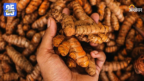 Turmeric