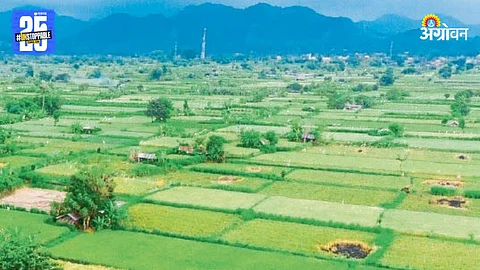 Agriculture Land