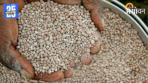 Fertilizer
