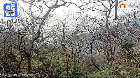 Biodiversity Conservation