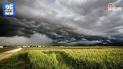 Weather