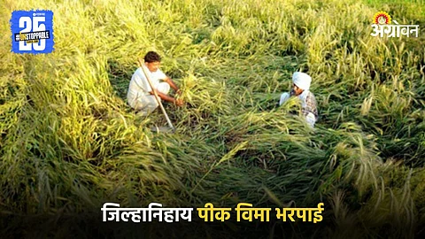 Indian Agriculture
