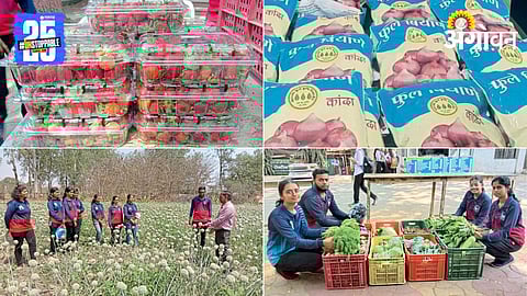 Agriculture Education