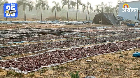 Agriculture Rain