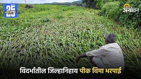Vidarbha Farmer