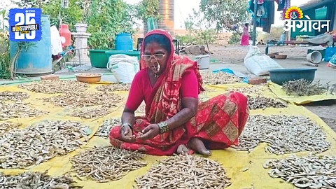 Seed Mother Rahibai Popere