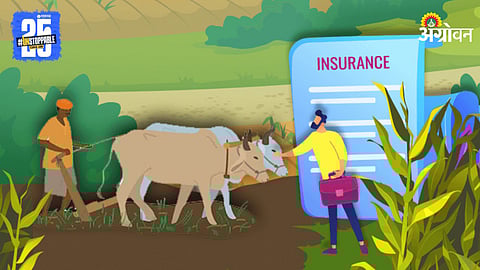 Crop Insurance