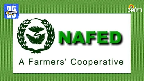 NAFED