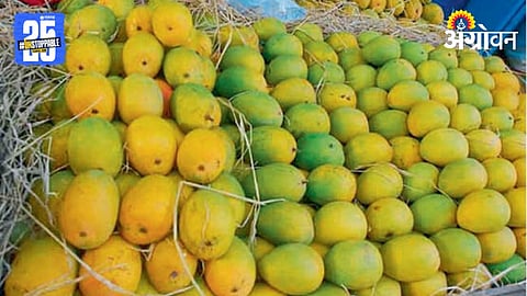 Mango Market