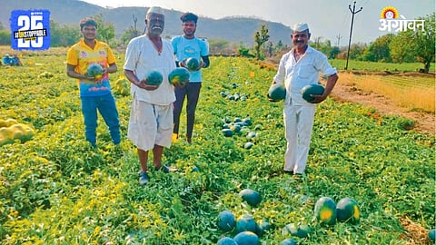 Watermelon Production