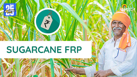 Sugarcane FRP