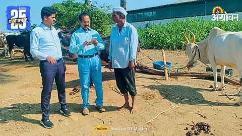 Livestock Survey