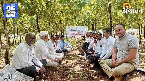 Orchard Management