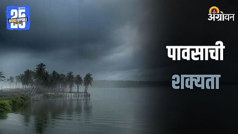 Rain Forecast