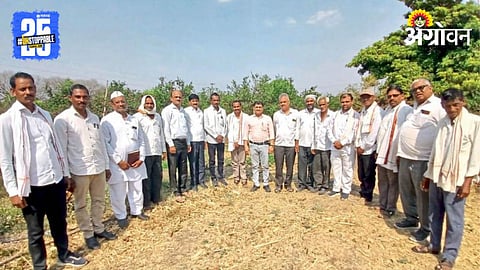 Crop Cluster Farming
