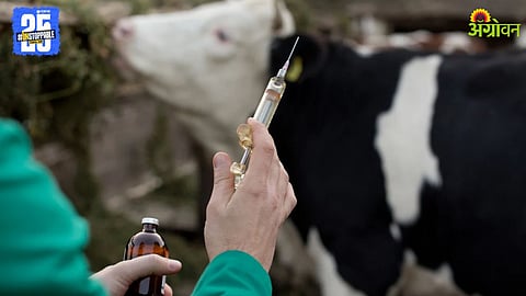 Animal Vaccination