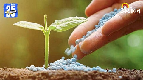 Agriculture Inputs