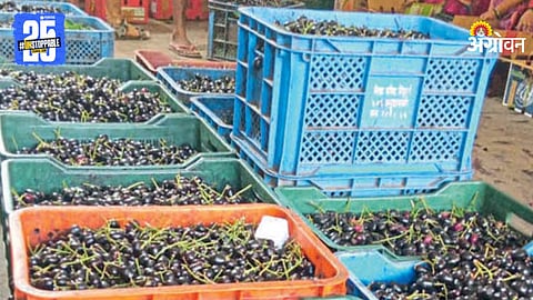 Jamun Market