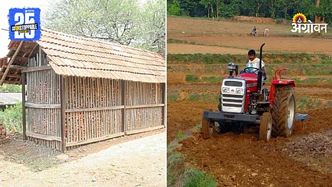 Onion Chawl and Tractor