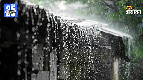 Monsoon