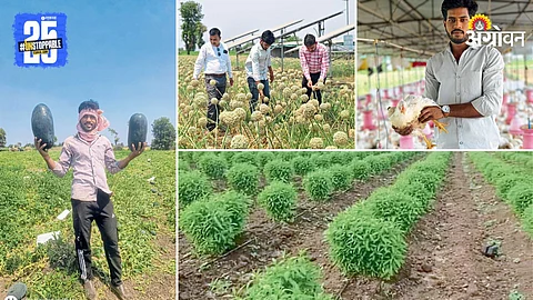 Yash Naraje and their Farm