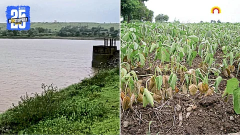 Agriculture Crisis