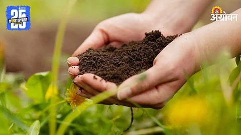 Soil