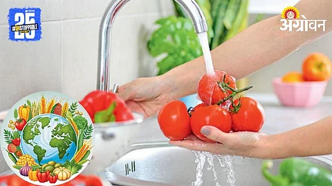 Organic Farming