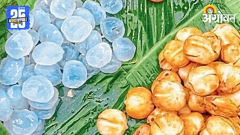 Summer Fruit
