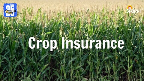 Crop Insurance