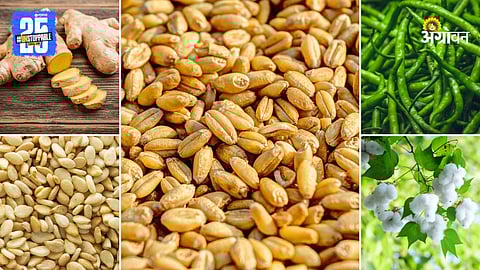 Agriculture Products