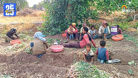 Onion Labor