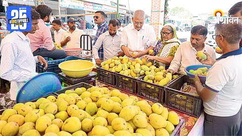 Mango Market