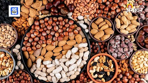Dry Fruits Import