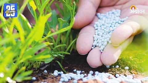 Fertilizers
